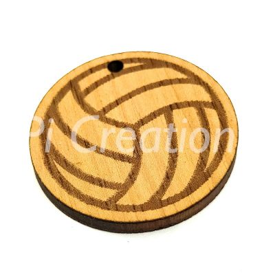 Pelota de Bolleyball